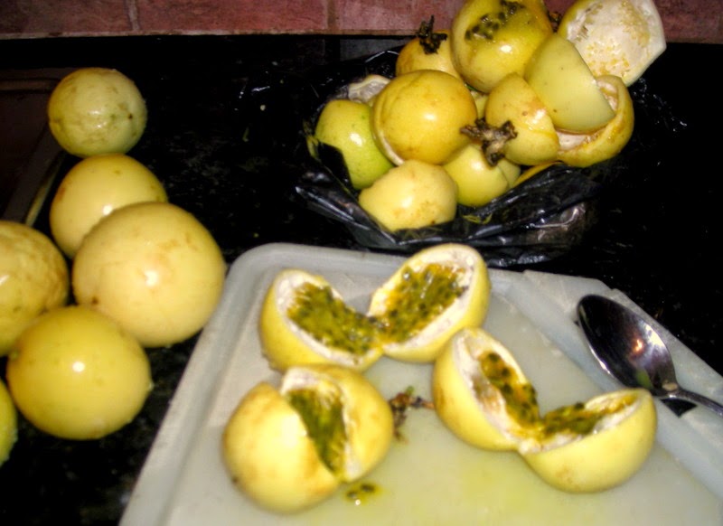 passion fruit in spanish fruit pictures passion fruit in spanish fruit pictures